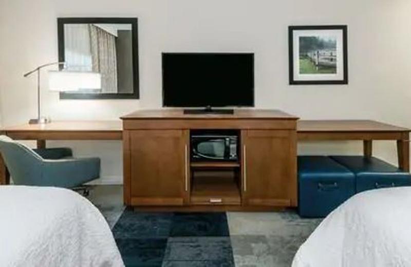 Hampton Inn & Suites San Antonio Brooks City Base, Tx Exteriér fotografie